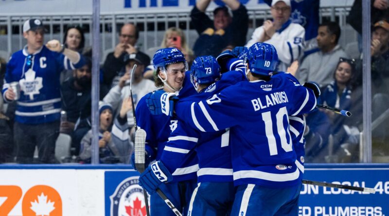 Toronto Marlies celebrate after scoring against the Utica Comets in AHL action on April 6, 2024 (image source: X / @TorontoMarlies)