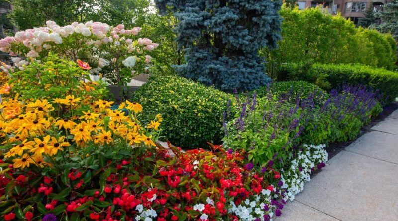 Toronto Garden Contest Returns to Showcase City's Flourishing Flora