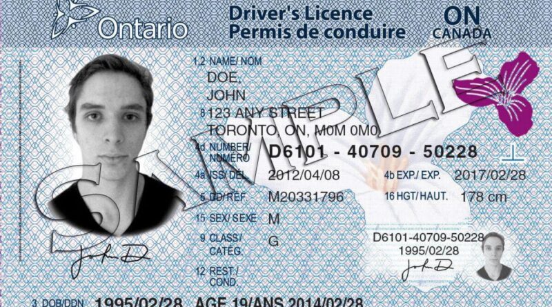 Sample Ontario Driver's License (source: Ontario.ca)