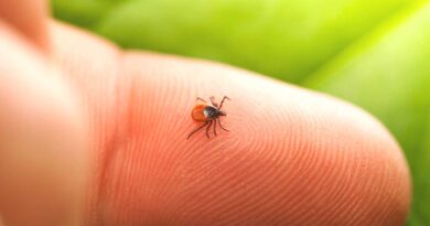 Ontarians Urged to Take Precautions Against Tick Bites as Summer Approaches