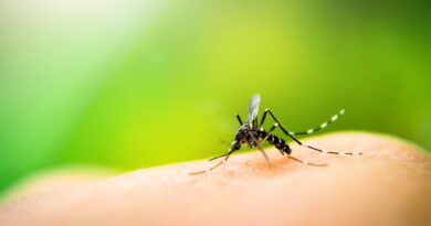 Toronto Public Health Advises Precautions Against West Nile Virus This Summer